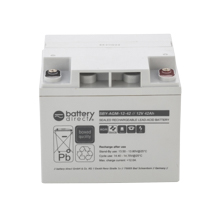 12V 42Ah Battery, Sealed Lead Acid battery (AGM), 197x165x171 mm (LxWxH), Terminal I2 (Insert M6)